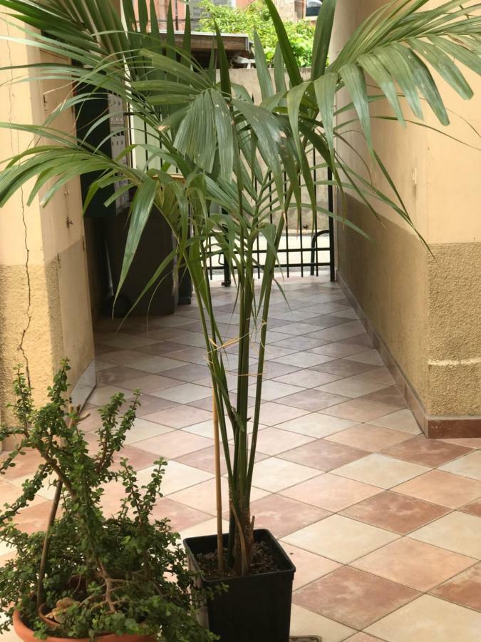 Ferienwohnung Garden Carras Nizza Exterior foto
